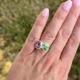 The Whimsy Silver Collection