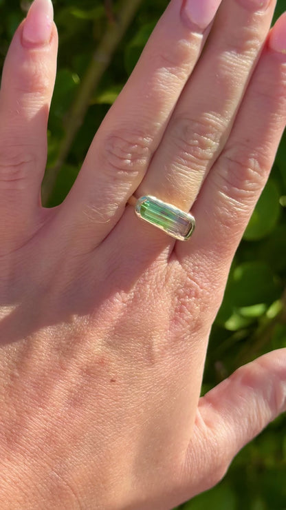 Rainforest Ring